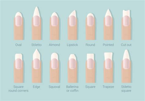 The Ultimate Guide To Nail Shapes The South East