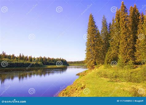 A Sunny Morning On The Banks Of A Siberian Taiga River Stock Image