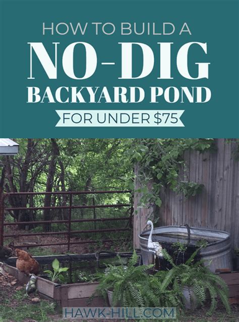 7 easy steps for building a goldfish pond. How to Build a No-Dig Backyard Pond for Under $70 - Hawk Hill