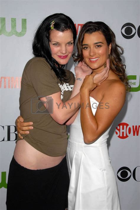 Pauley Perrette And Cote De Pablo Imagecollect Royalty Free Stock