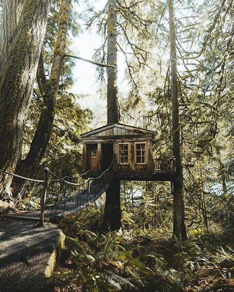 Check spelling or type a new query. All I Need is a Little Rustic Cabin in the Woods (27 ...