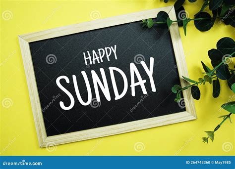 Happy Sunday Typography Text Written On Wooden Blackboard With Green