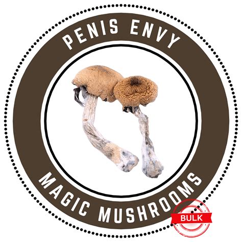 Buy Penis Envy Magic Mushrooms Bulk The Green Ace