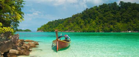Would your Paradise City be Green? | Green Journal