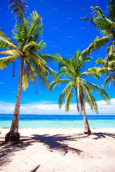 Beautiful Tropical Beach With Palm Trees White Sand Turquoise Ocean Water And Blue Sky