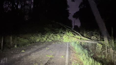 Bill Wadell On Twitter Were Finding Trees And Power Lines Down South
