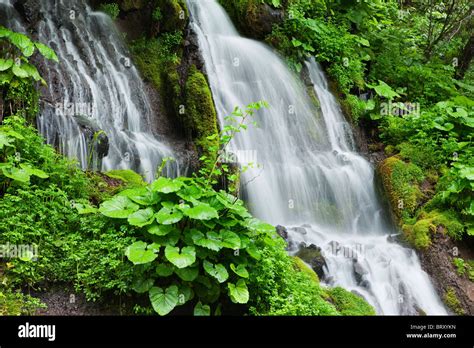 Doryu Waterfall Yamanashi Prefecture Honshu Japan Stock Photo Alamy