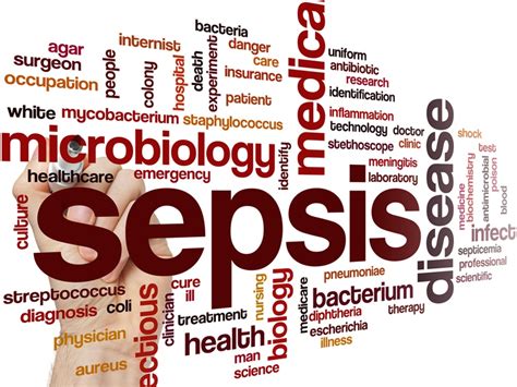 Sepsis atau septicaemia adalah penyakit yang mengancam kehidupan yang dapat terjadi ketika seluruh tubuh bereaksi terhadap infeksi. Kenali Bahaya Sepsis, Kondisi Keracunan Darah yang ...
