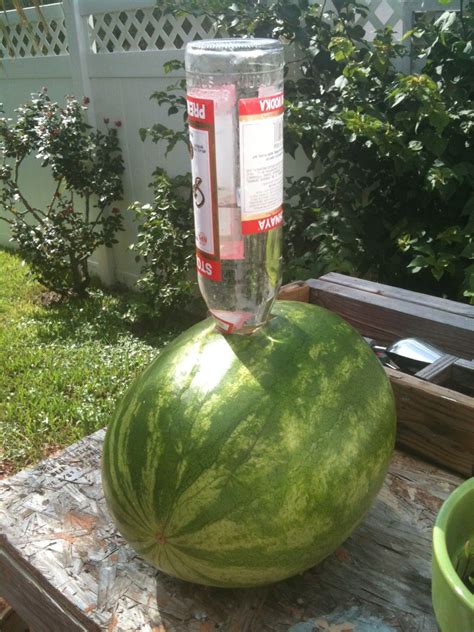 Summertime Simplicity Drunken Watermelon Alcohol Soaked