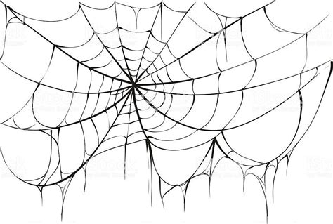 Torn Spider Web On White Background Vector Illustration Spider Web