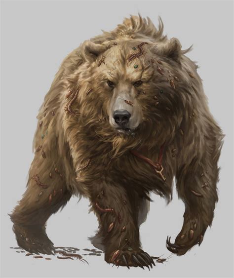 Dnd 5e Dire Bear Images And Photos Finder