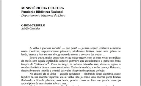 O Bom Crioulo Resumo