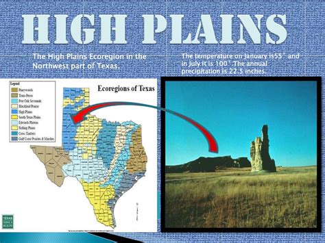 Ppt Ecoregions Of Texas Powerpoint Presentation Free Download Id