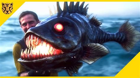 Mengerikan Inilah 15 Ikan Yang Hampir Mustahil Ditemui YouTube