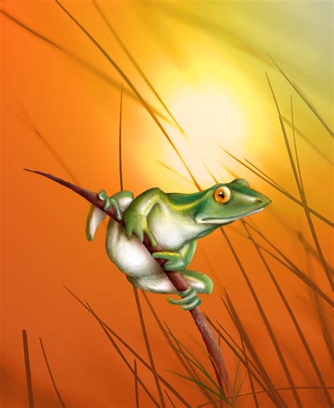Frog By Temptingtradgedy On Deviantart