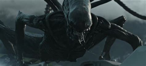 The film's art director, creature design supervisor and a zoologist from the san diego zoo describe just what it is. Alien: Covenant - The Protomorph (not Xenomorph) - Alien ...