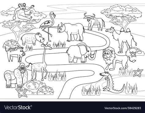 Jungle Africa Safari Animals Coloring Book Vector Image