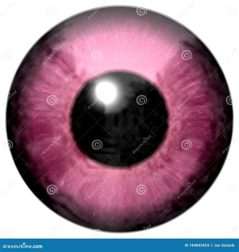 Detail Of Eye With Pink Colored Iris And Black Pupil Stock Illustration