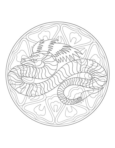 Mandala Dragon 4 Mandalas Adult Coloring Pages