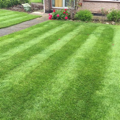 Lawn treatment service uk master workers the grass master lawn servicing lawns carpet cleaning, domestic cleaning, drawer liners, lawn treatment service, cleaning service, vacanze otranto, Expert Lawn Care in Teesside - TruGreen - Professional ...