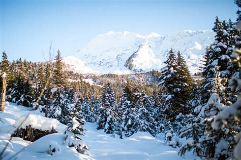 A Photo Essay Winter In Anchorage Alaska Wander The Map