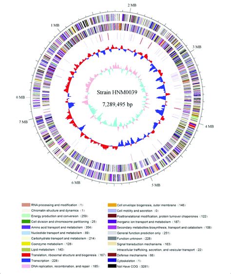 Circular Genome Map Of Strain Hnm T The Genome Map Was Made