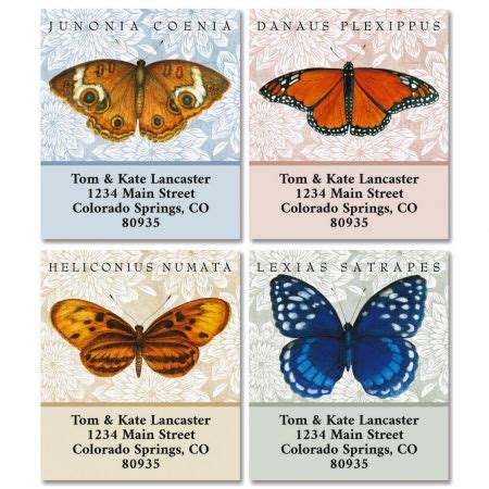 If butterfly drawing is what you want to do, then you have come to the right place. Butterfly Species Select Return Address Labels | Colorful ...