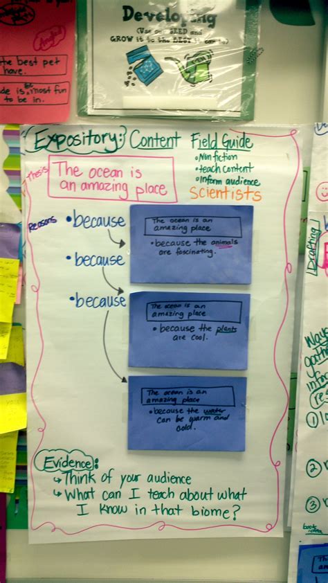 Expository Writing Developing Stage Science Content Writing 3rd Grade