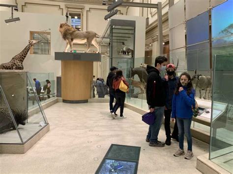 Smithsonian National Museum Of Natural History Guided Tour Getyourguide