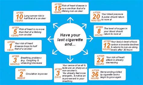 Stop Smoking And Start Repairing Benefits Of Quitting Smoking Musely