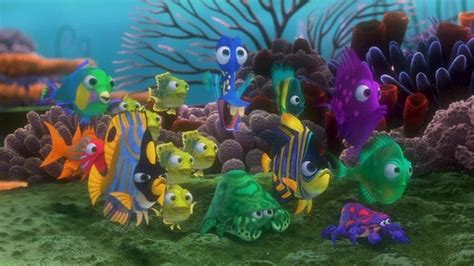 Image Class Nemos Reef Wiki Fandom Powered By Wikia