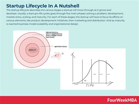 What Is The Startup Lifecycle Startup Lifecycle In A Nutshell