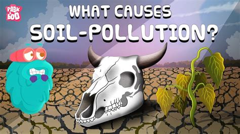 What Is Soil Pollution Land Pollution What Causes Soil Pollution