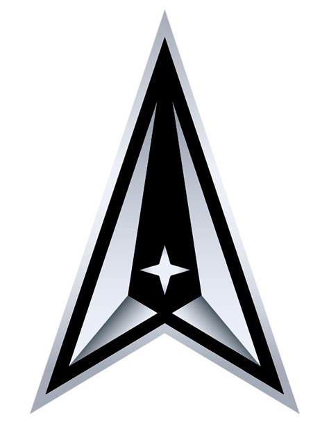 米宇宙軍が中央に北極星が輝く正式ロゴと標語を発表、配備された軍用馬も紹介 It News