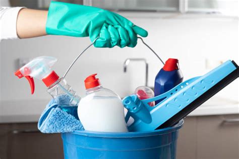 Cleaning Service Stock Photos Pictures And Royalty Free Images Istock