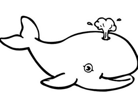 Search through 623,989 free printable colorings at getcolorings. Whale Shark Coloring Page at GetColorings.com | Free ...