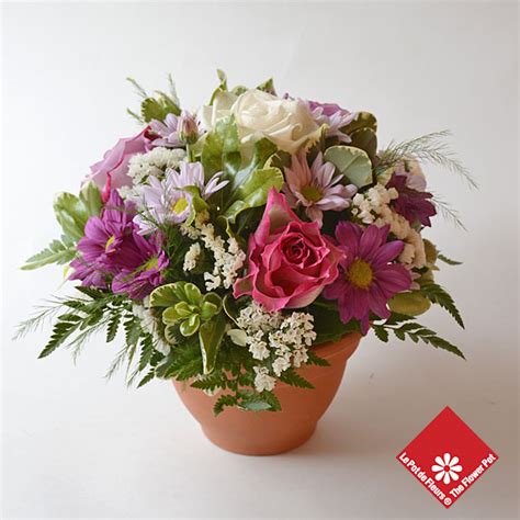 Create an indoor garden oasis with our range of plant pots & stands. Montreal Terra Cotta Rose Arrangements - The Flower Pot