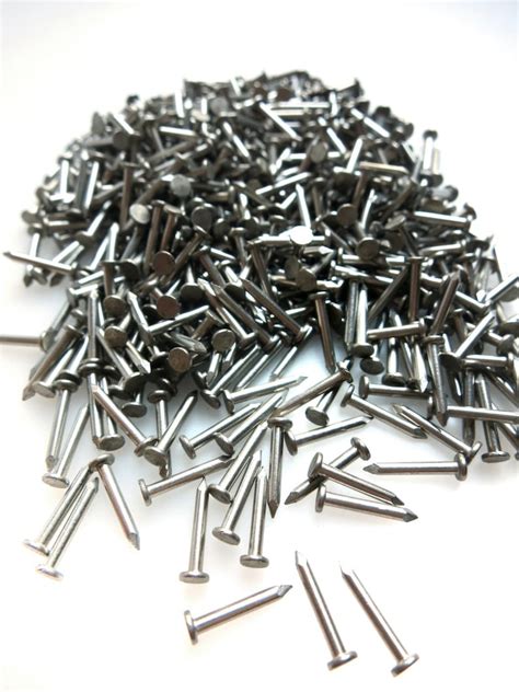Stainless Steel 38 X G15 14x 10mm Panel Pins Nails Etsy