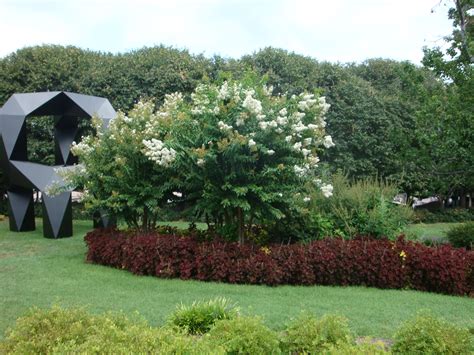 Creative landscape backyard backyard garden garden planning landscape landscape design outdoor gardens crape myrtle comes in purple, pink, red and yellow they are so beautiful. Transparency in the Landscape - Revolutionary Gardens