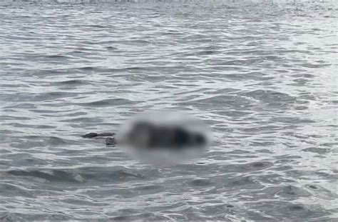 Cumi bulan lapan di sandakan mp3 & mp4. Bot terbalik: Mayat budak perempuan ditemui | Sabah Post