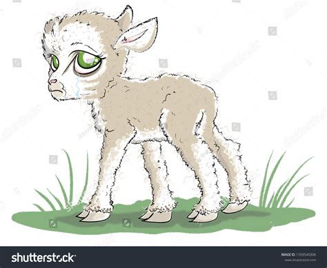 Sad Little Lamb On Farm Stock Illustration 1769540306 Shutterstock
