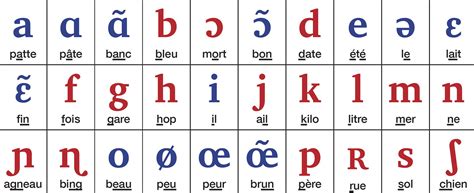 Lalphabet Phonétique Pour Le Français