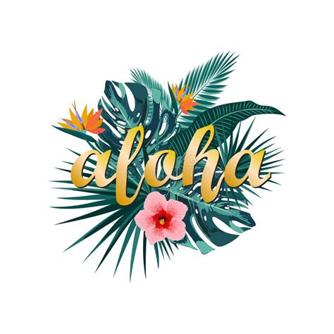 Aloha Hava Aloha Projeto Do T shirt Ilustração do Vetor Ilustração