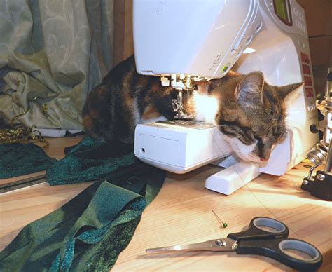 My Cat In My Sewing Machine My Cat Mrs Muffet Fell Alsle Flickr