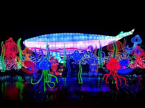 Check spelling or type a new query. Art of Lights - Surrey International Lantern Festival ...