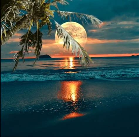 Pin By Team Chashman On Nature And Moon And The Sea Beautiful Sunset