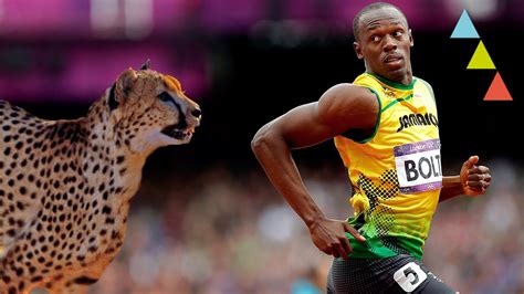 More news for corren » 10 animales que corren más rápido que Usain Bolt - YouTube