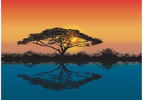 African Tree Silhouette Sunset Beautiful Scenery African Savannah