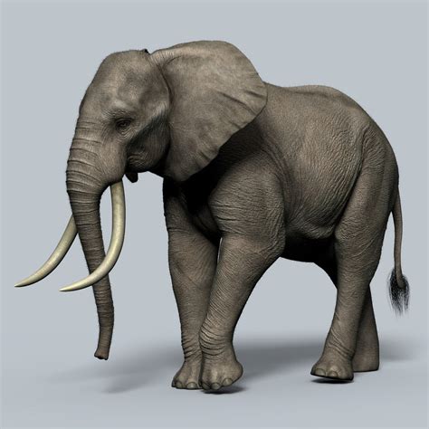 Artstation Adult African Elephant
