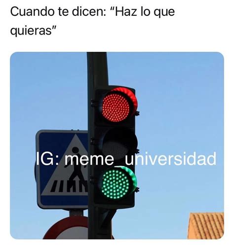 Cuando Te Dicen Haz Lo Que Quieras Memes